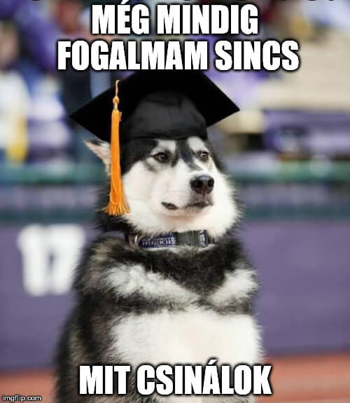 fogalmam sincs mit csinálok