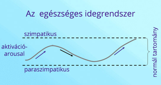 idegrendszer-ritmus
